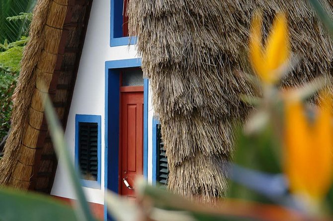 Madeira East Island Tour with Levada Walk and Lunch - East Madeira in 8 Hours: What the Day Really Feels Like