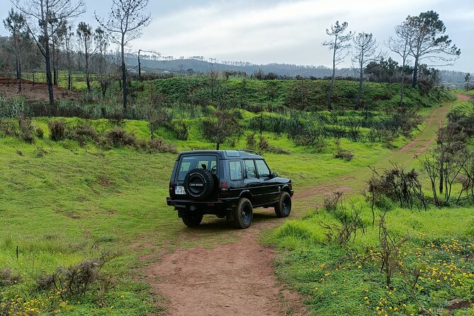 Madeira: Experiência 4WD Skywalk para Seixal Porto Moniz, Fanal - Key things that make this tour worth your time