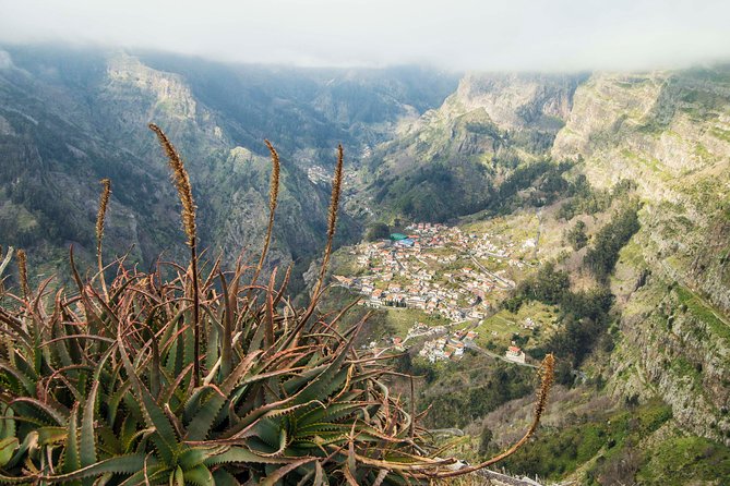Madeira Half Day Small-Group Tour from Funchal - Stop 1: Miradouro Pico dos Barcelos and the Quick Bay View