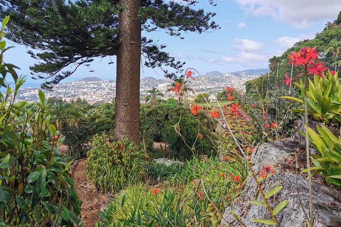 Madeira Highlights: Toboggan, Garden & Cable Car (All-Inclusive) - Adding the Madeira Experience Without the Crowd Stress