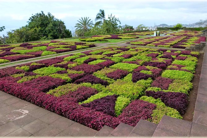 Madeira Highlights: Toboggan, Garden & Cable Car (All-Inclusive) - Should You Book This Madeira Highlights Tour?