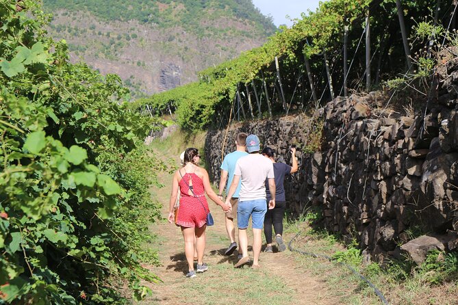 Madeira Island Private Wine Full-day Tour in all terrain vehicle - Quinta do Barbusano: vineyards, tastings, and a lunch that’s not tourist-y