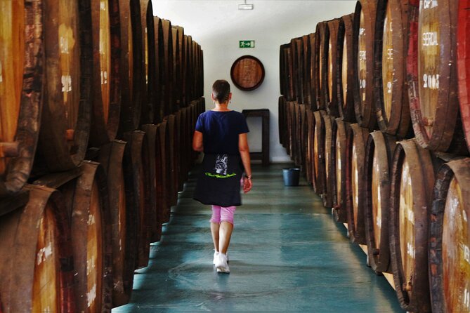 Madeira Island Private Wine Full-day Tour in all terrain vehicle - Estreito de Câmara de Lobos: terraced vineyards and a scenic feeling