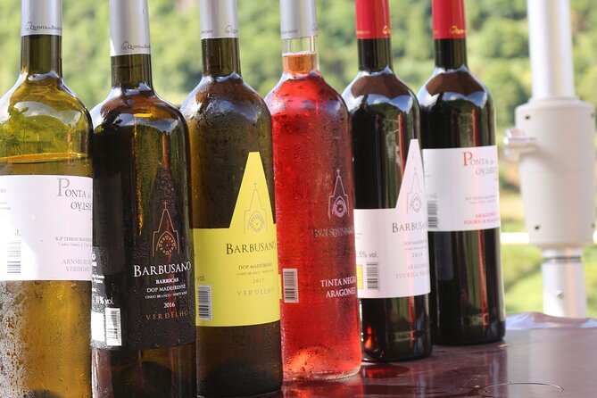 Madeira Island Private Wine Full-day Tour in all terrain vehicle - Miradouro da Encumeada: where you spot Madeira’s north and south split