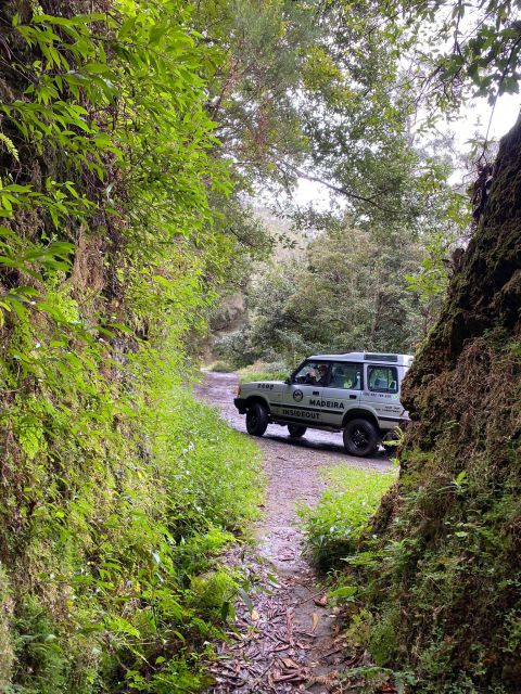 Madeira "Mystery Tour" Half-Day - Private 4x4 Jeep - Madeira Insideout: A Half-Day That Feels Made for You