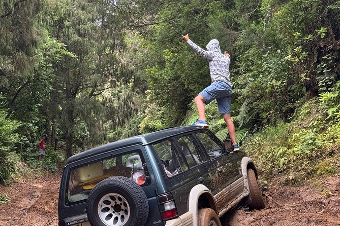 Madeira Off-Road 4x4 Jeep Adventure Private Full day Tour - Key Highlights You’ll Care About