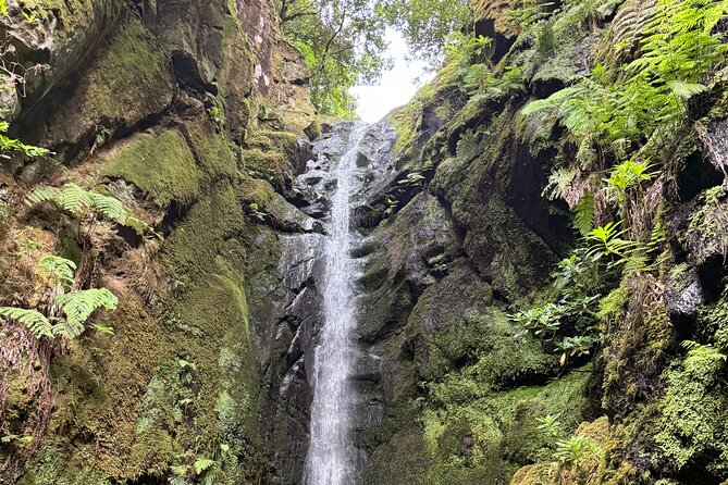 Madeira Off-Road 4x4 Jeep Adventure Private Full day Tour - Pickup Timing and How to Plan Your Morning