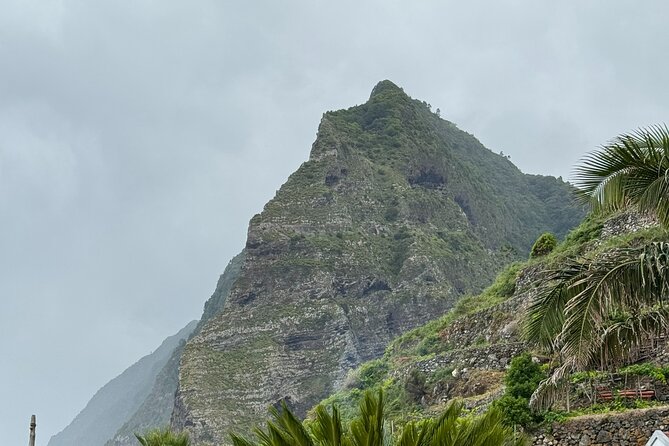 Madeira Off-Road 4x4 Jeep Adventure Private Full day Tour - Views, Peaks, and Photo Time That Doesn’t Feel Rushed