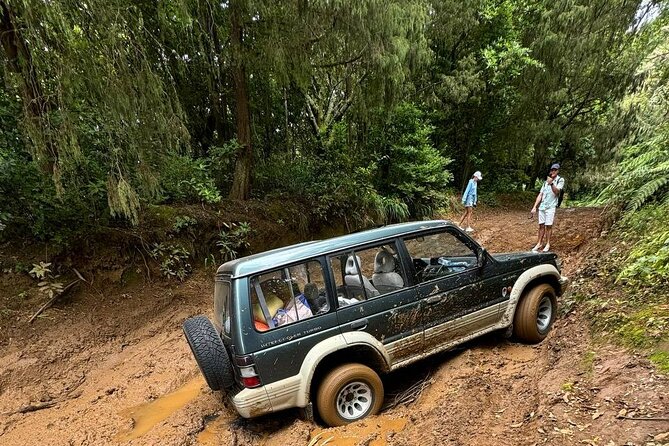 Madeira Off-Road 4x4 Jeep Adventure Private Full day Tour - Stop 1: Madeira Wilderness Access (and Why That Matters)