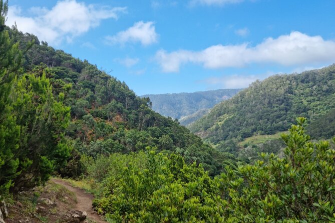 Madeira Porto da Cruz to Machico Self Hiking Tour with Transfer - Should you book the Madeira Porto da Cruz to Machico Self Hiking Tour?