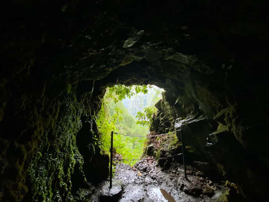 Madeira: PR 9 - Levada do Caldeirão Verde Hike Transfer - Key Points I’d Prioritize Before Booking