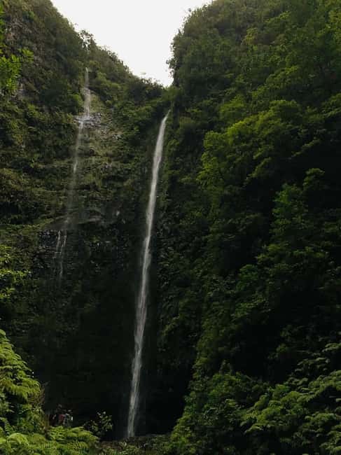 Madeira: PR 9 - Levada do Caldeirão Verde Hike Transfer - Self-Guided Freedom With Real Transfer Support