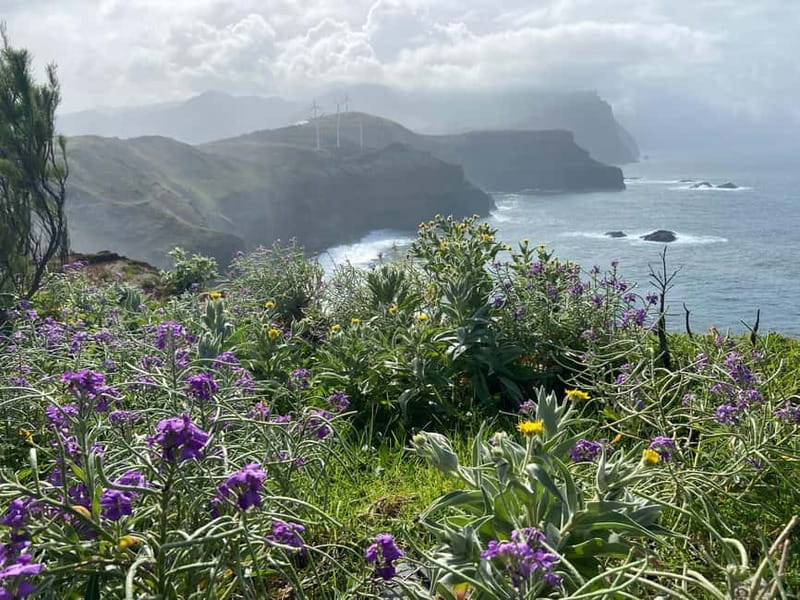 Madeira: PR8 -Ponta de São Lourenço Natural Reserve Transfer - Cais do Sardinha: your optional swim moment (if conditions allow)