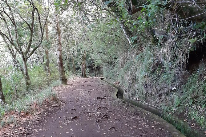 Madeira: Private 1.5-Kilometer Levada dos Balcões Hike PR11 - Walking through Madeira’s UNESCO laurel forest