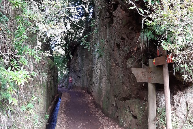 Madeira: Private 1.5-Kilometer Levada dos Balcões Hike PR11 - Watch for birds: a small tip that changes the walk