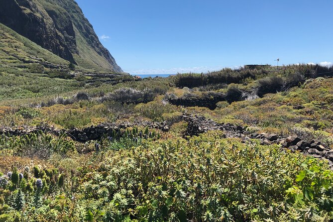 Madeira: Private Guided Half-Day Tour of Northwest Madeira - Price and Value: Is $160.49 Worth It?