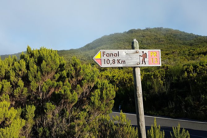 Madeira: Private Guided Walk Vereda Fanal PR13 - Key Things I’d Bet You’ll Care About