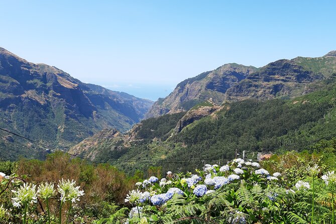 Madeira: Private Laurisilva Tour - Encumeada viewpoint: North and South valley views in one session