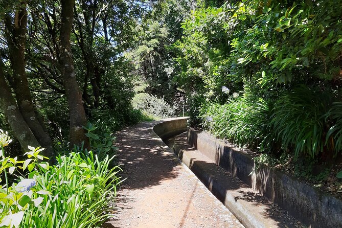 Madeira: Private Laurisilva Tour - The drive itself: banana-growing country to mountain climbing