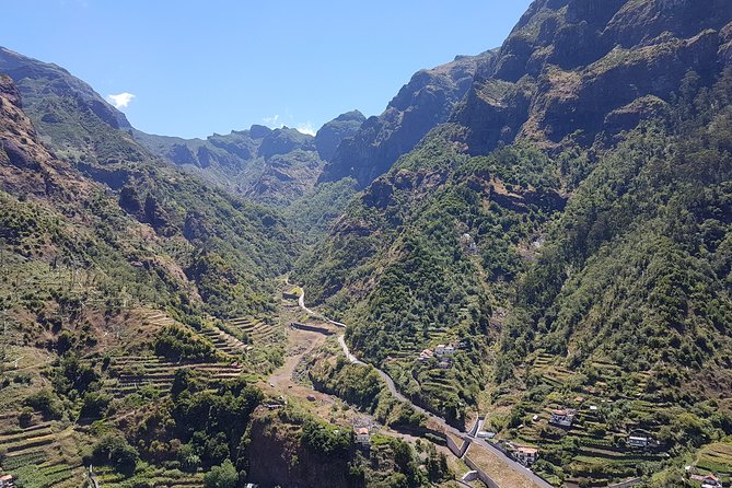 Madeira: Private Laurisilva Tour - Price and value: $139.63 per group can be very fair