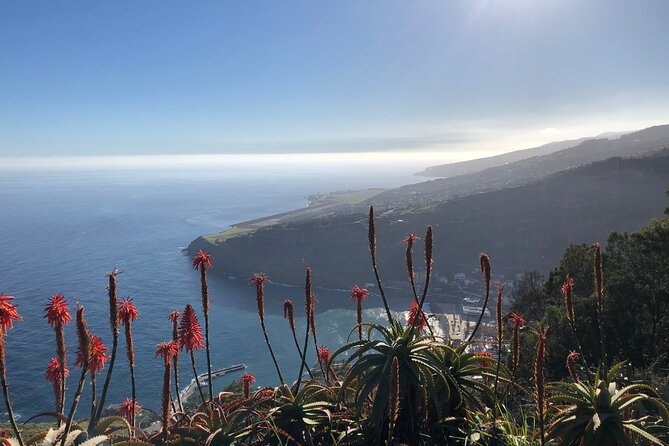 Madeira Safari - East of the island - From Poiso to Arieiro’s Peak: higher viewpoints without the logistics headache