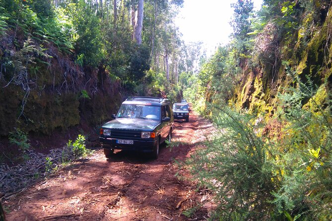 Madeira Safari - East of the island - Funchal pickup and your 9:00 start: timing you can plan around
