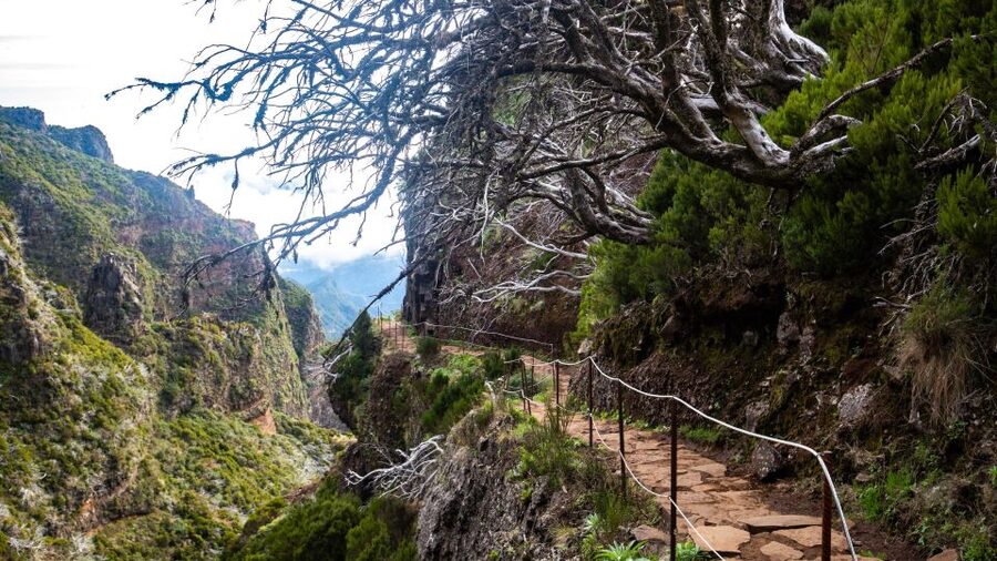 Madeira Stairway to Heaven to Larano Hike Mountain to Sea - Who This Madeira Hike Fits Best (And Who Should Skip It)
