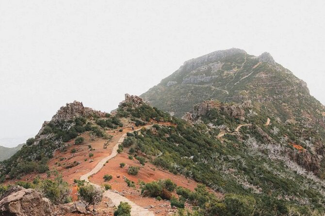 Madeira: Sunrise at Pico do Arieiro & Hike Larano trail - Pickup and Timing: How the Day Stays Organized