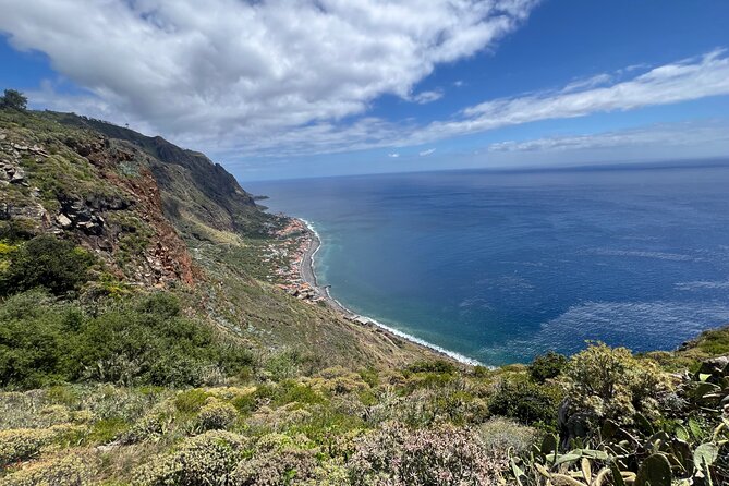 Madeira surprise tour - Fanal: Ancient Trees, Quiet Atmosphere, and a Real Time-Out