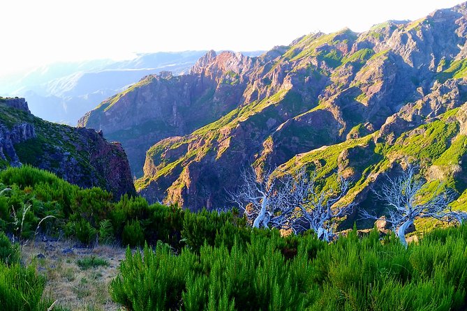 Madeira Top Sunrise - Meeting in Funchal or Caniço and Getting to the Trail