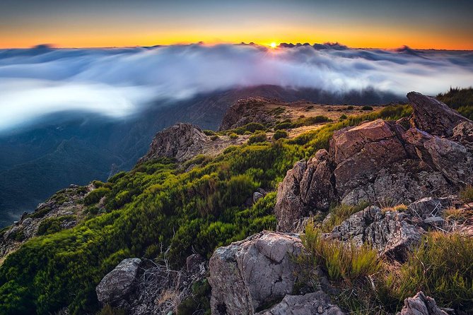 Madeira Top Sunrise - Price and Value: What You Get for $66.54