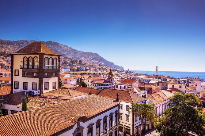 Madeira West Island Full Day Small-Group Tour from Funchal - How the Day Paces: You See a Lot, Without Feeling Chased