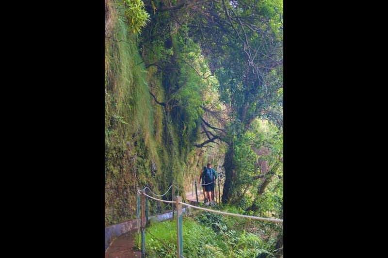 Madeira: Wet your hair in the amazing Levada Nova / Moinhos - Guide Support That Makes a Big Difference on a Levada Walk