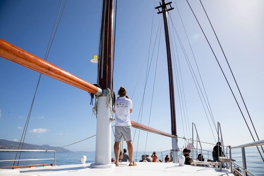 Madeira : Whales and Dolphins wooden boat excursion - What to Bring for a Smooth Day at Sea