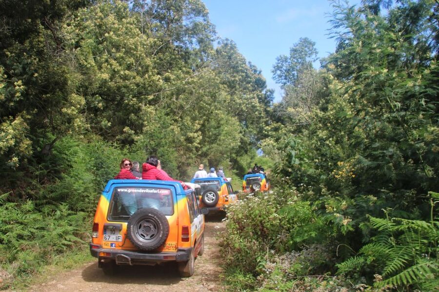 Madeira: Wine & Tapas, Cabo Girão Skywalk 4x4 Jeep Adventure - What you’re really paying for: value math in plain terms