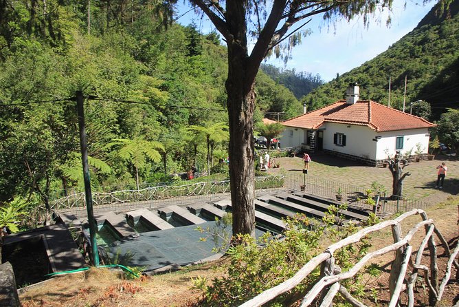 Magnificent East Tour - Camacha and Santana: village color without the need for a private tour