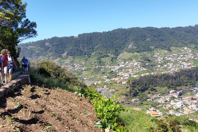 Maroços - Mimosa Valley - Key Things I’d Pay Attention To
