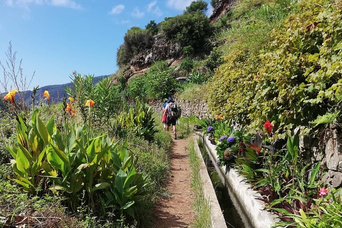 Maroços - Mimosa Valley - Aqueducts, levadas, and Machico views you can actually reach