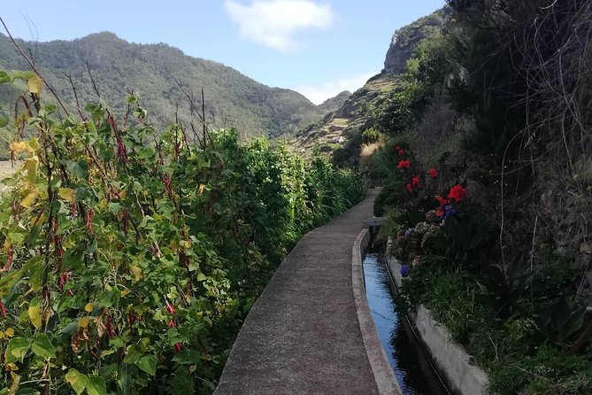 Maroços - Mimosa Valley - FAQ