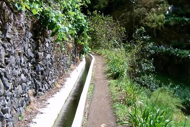 Mimosa Valley Walk - Key Highlights to Know Before You Go