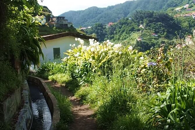 Mimosa Valley Walk - Mimosa Valley Levada: Why This Walk Feels So Madeira