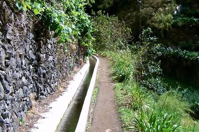 Mimosa Valley Walk - How Long Is Four Hours, Really?