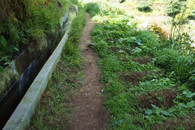 Mimosa Valley Walk - The Core Experience: Walking the Levada, Seeing Work and Views