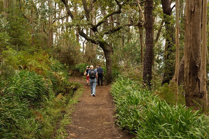 Mini -Combo East Challenge (Jeep & Levada Walk)- Shared Tour - Camacha to Machico: how the half-day pacing really feels