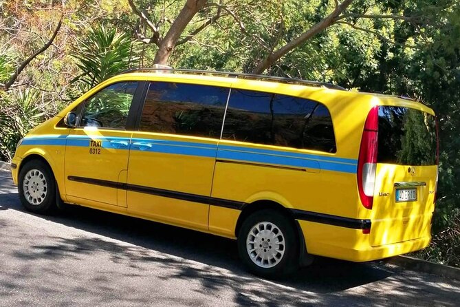 Minibus Transfer: Madeira Airport - Funchal - Where Your Driver Waits in the Main Arrivals Area