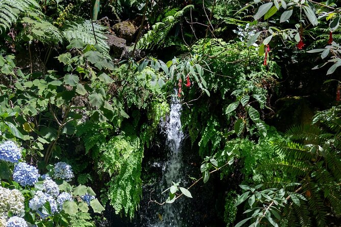 Monte Palace Tropical Garden tour with Cable Car - Getting above Funchal with the cable car