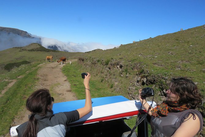 Northeast 4x4 Santana and Landscapes Day Trip - Value and practicalities: what $82.82 gets you