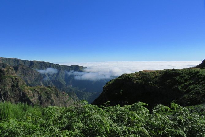 Nun's Valley Open 4X4 Tour - Price and Pickup Fees: Getting On the Right 4x4 at the Right Time