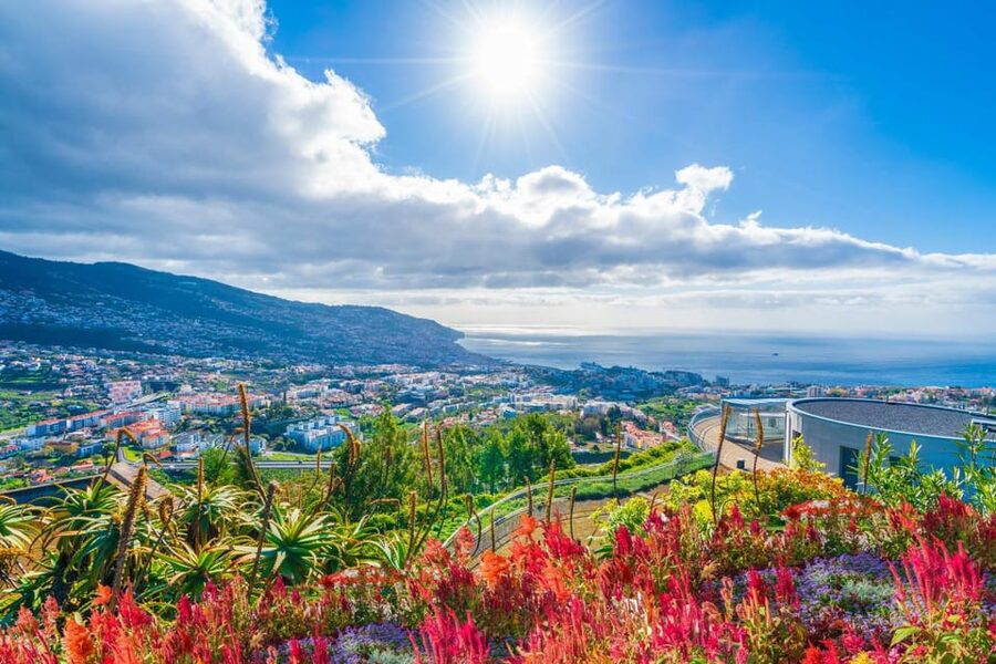 Nun's Valley & Pico dos Barcelos Madeira Island Tour - Key reasons this tour works