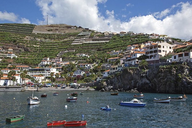 Nun's Valley & Sea Cliff - Half Day - Shared Tour - Madeira viticulture: why the wine stop isn’t just a photo break